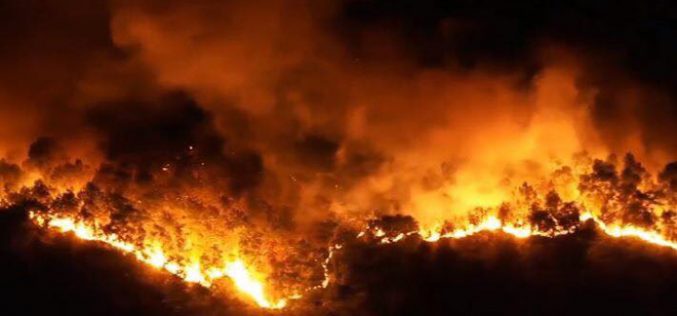 Nghi phạm đốt rác gây cháy rừng kinh hoàng ở Hà Tĩnh đối diện mức án nào?