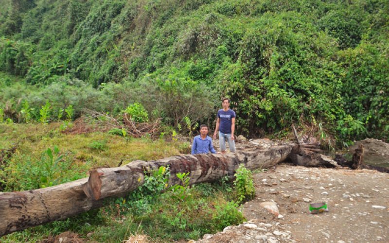 4 ngày lặn suối cưa cây gỗ trăm tuổi: Người phát hiện có thể được thưởng gì?