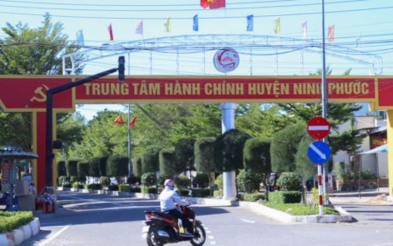 Vụ chánh án TAND huyện Ninh Phước tự tử: Nữ thư ký bị khởi tố sai gì?