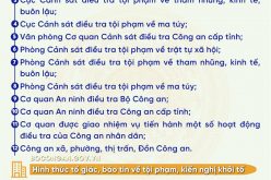 Hướng dẫn tố giác, báo tin về tội phạm, kiến nghị khởi tố từ ngày 01/3/2025