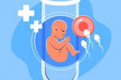 Kỹ thuật IVF và bước tiến lớn về pháp lý