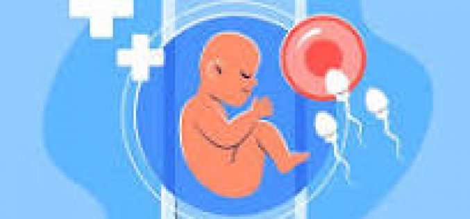 Kỹ thuật IVF và bước tiến lớn về pháp lý