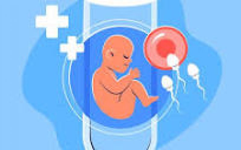 Kỹ thuật IVF và bước tiến lớn về pháp lý