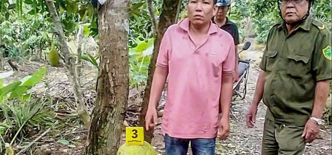 Vì sao trộm 2 trái mít lại bị khởi tố?