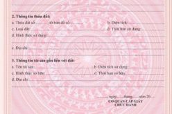 HƯỚNG DẪN Cách viết đơn xin cấp sổ đỏ lần đầu 2026 chi tiết nhất? Tải Mẫu đơn xin cấp sổ đỏ lần đầu mới nhất 2026?