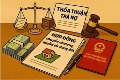 Chuyển nhượng quyền sử dụng đất để thực hiện nghĩa vụ trả nợ: Ranh giới với giao dịch dân sự vô hiệu do giả tạo