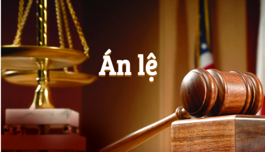 TAND Tối cao công bố 10 án lệ mới