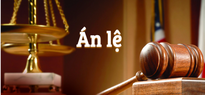 TAND Tối cao công bố 10 án lệ mới