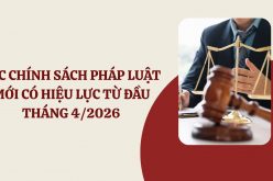 Chính sách mới có hiệu lực từ tháng 4-2026