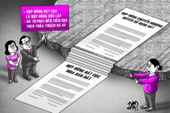 Nhận cọc 300 triệu nhưng không bán đất, bị phạt cọc 3 tỉ đồng